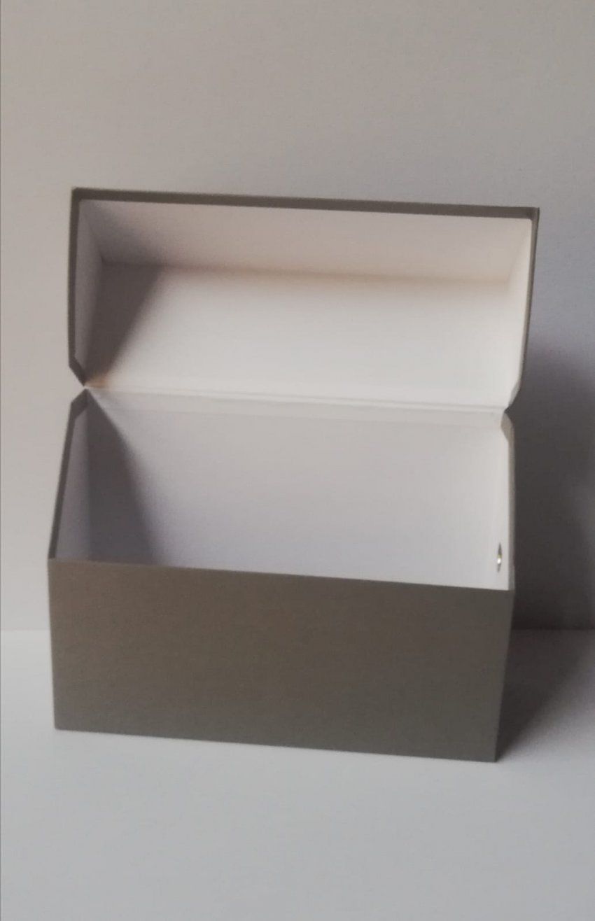 Caja archivador gris
